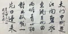 作品书法