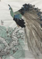 作品孔雀