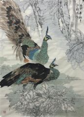 作品孔雀