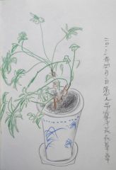 杨柳作品风景速写之七