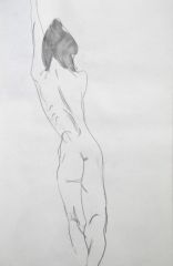 杨柳作品人体速写