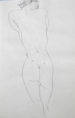 杨柳作品人体速写