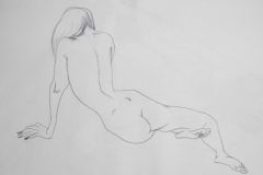 杨柳作品人体速写