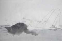 杨柳作品人体速写