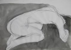 杨柳作品人体速写