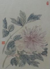 杨柳作品花