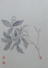 杨柳作品花