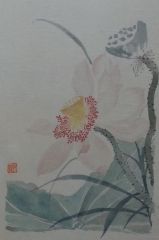杨柳作品花