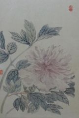 杨柳作品花