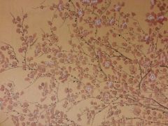 杨柳作品花