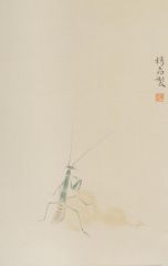 杨柳作品草虫