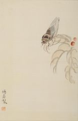 杨柳作品草虫