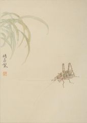 杨柳作品草虫