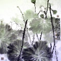 马志刚作品风定池莲自在香