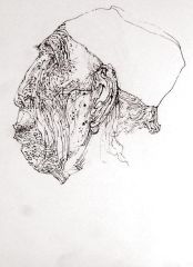 任惠中作品生活速写58