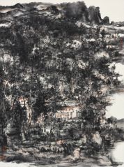 熊红钢作品黔中神游08