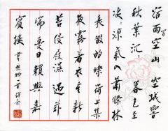 赵秦作品书法之八