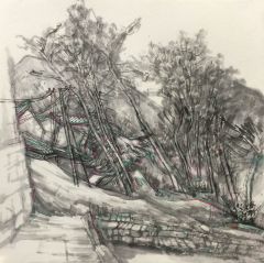 韩敬伟作品蔡树庵写生8